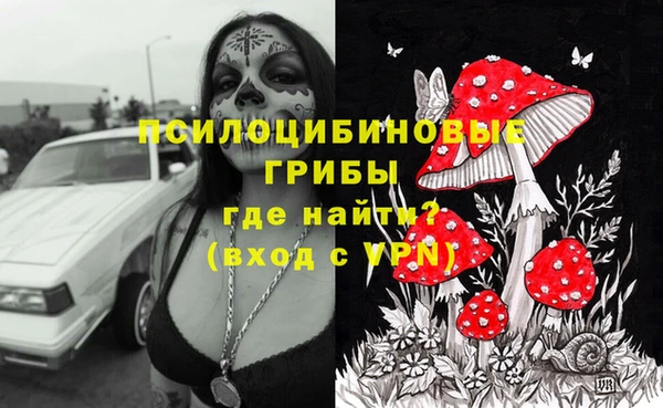 мдпв Майский