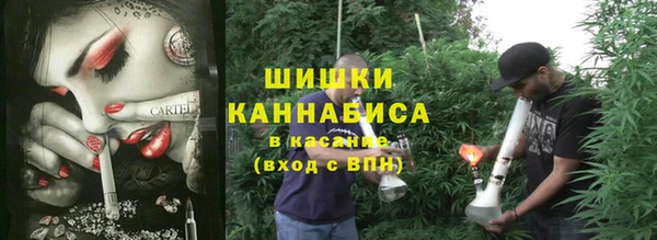 не бодяженный Магас