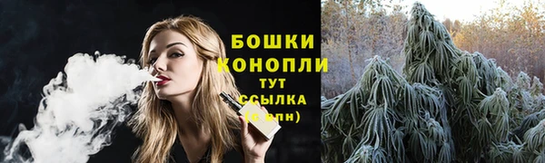 мдпв Майский